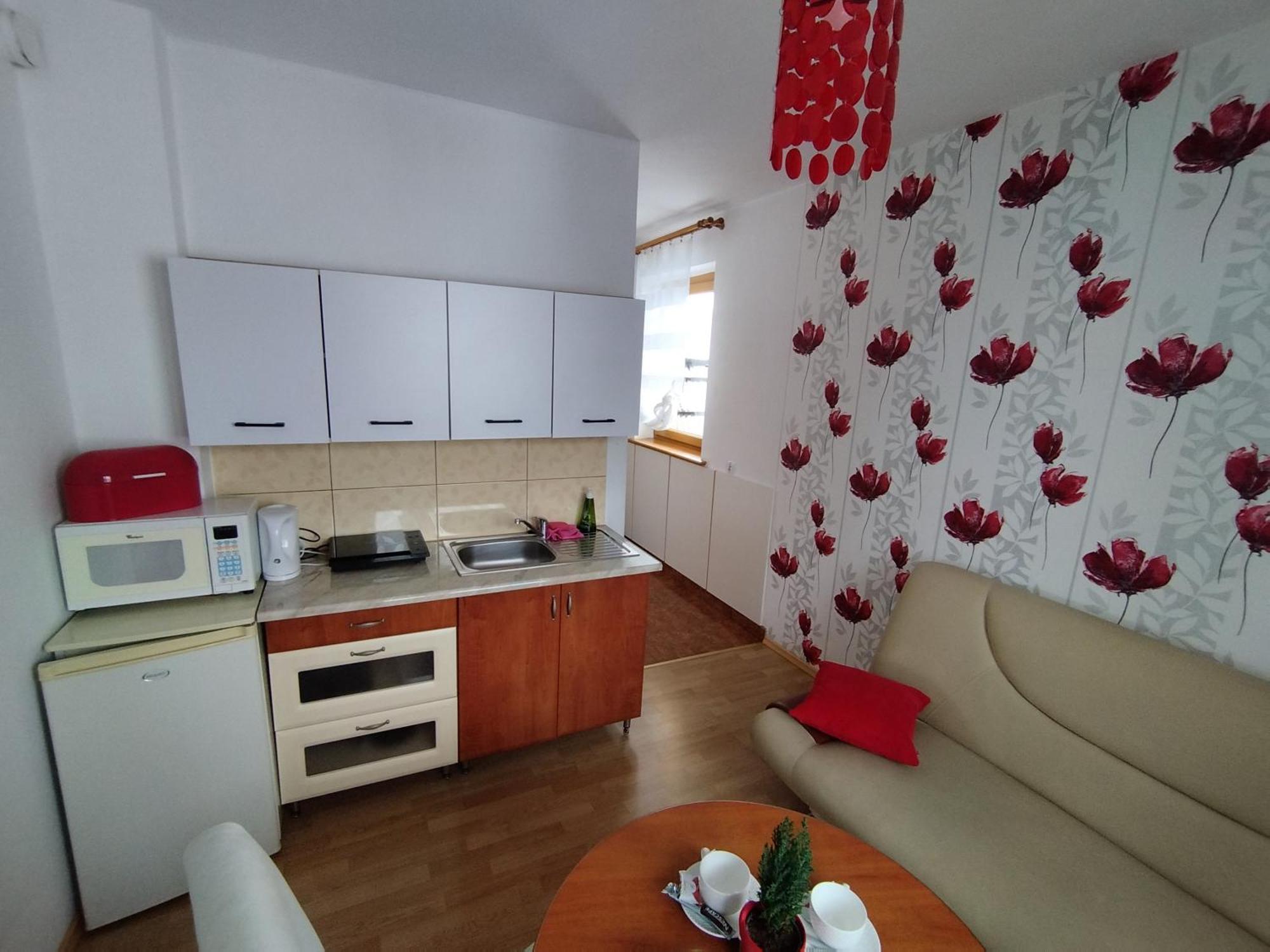 Tatrzanska Panorama Apartment Gliczarow Exterior photo